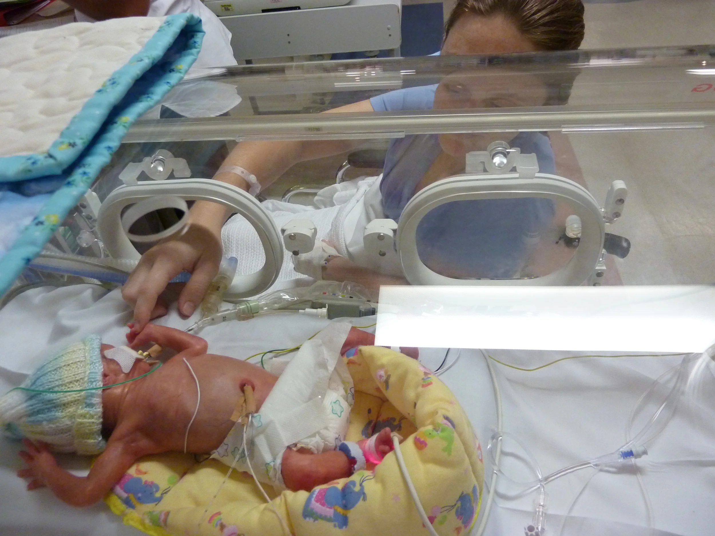 Meeting Adison 865g.