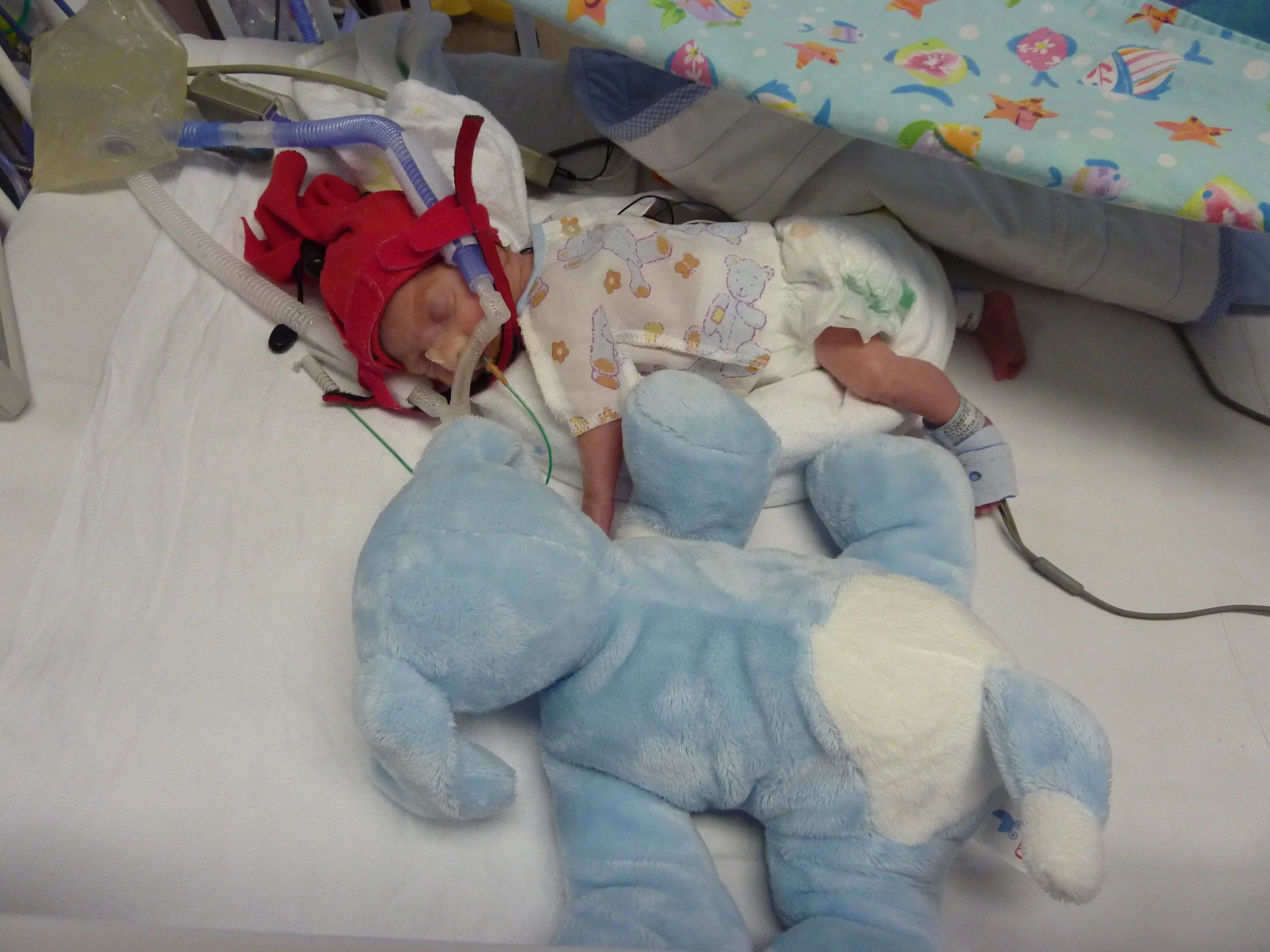 Top Tips for Photographing your Baby in NICU