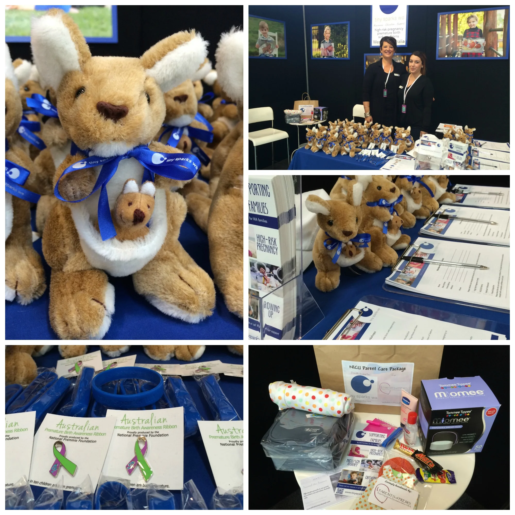 Pregnancy Babies and Children's Expo 2014