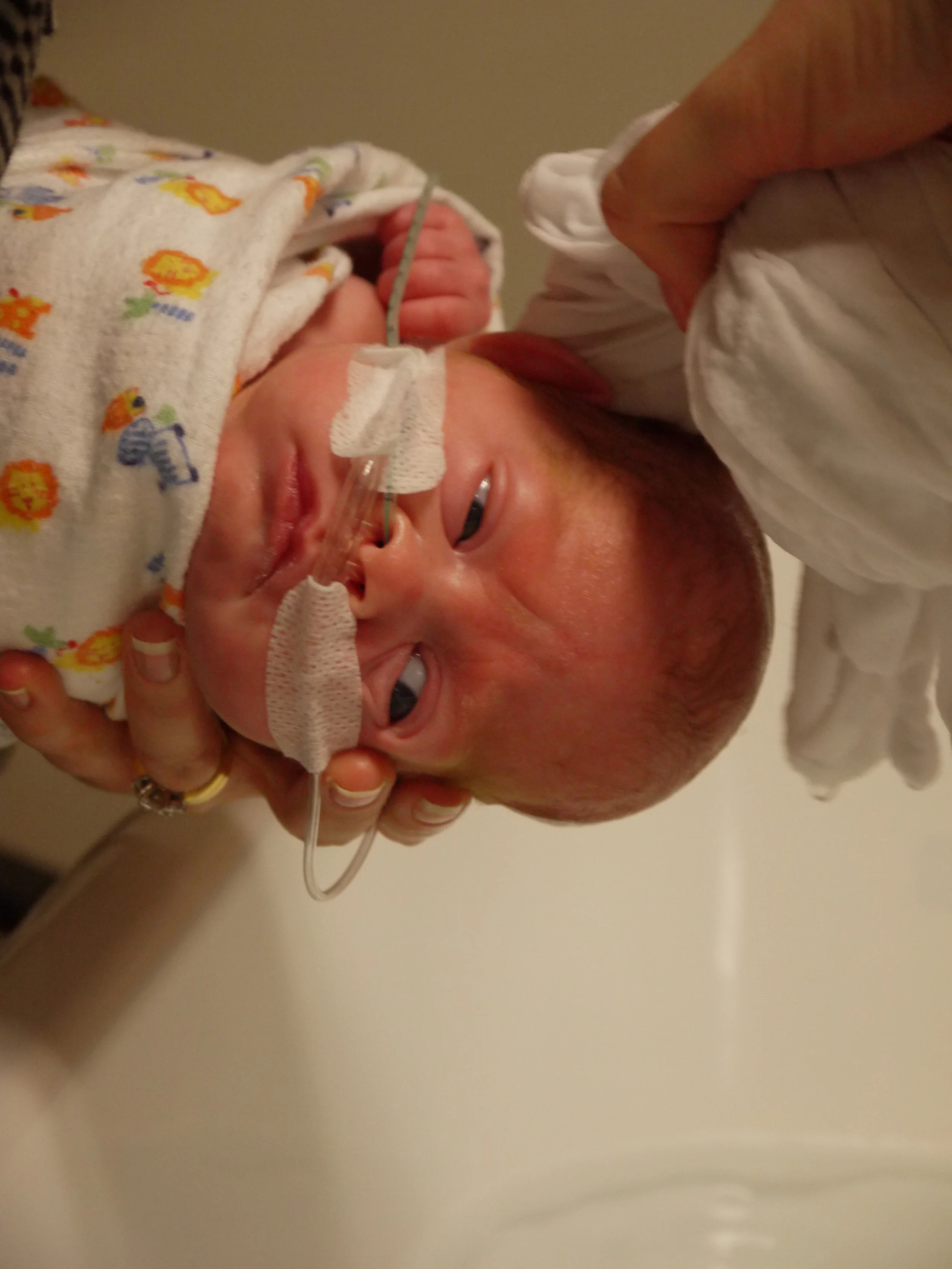 Olivia's Story Part III (Remainder of NICU and Homecoming)