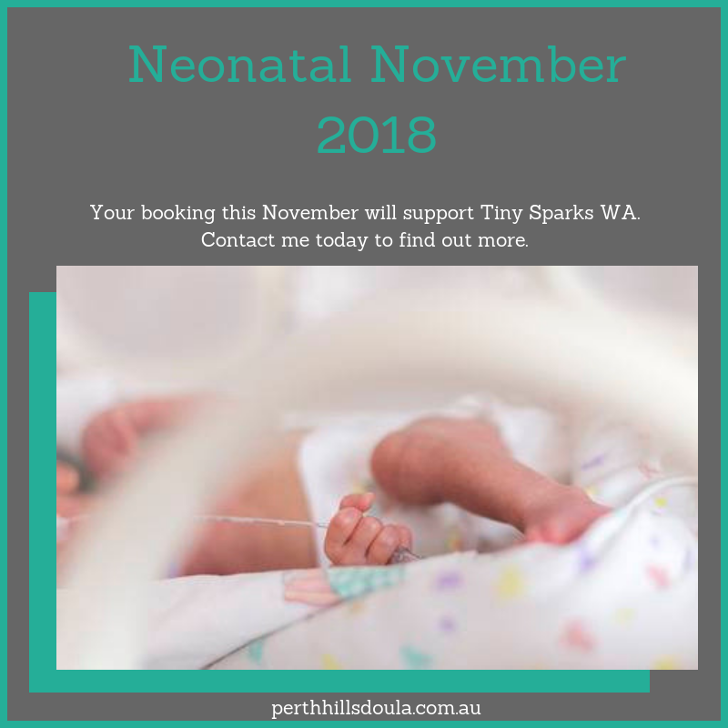 Aurelia Balestra Mavrick - Doula and Placenta Services - donating 10% of the fees from any booking made in November. (Conditions apply)