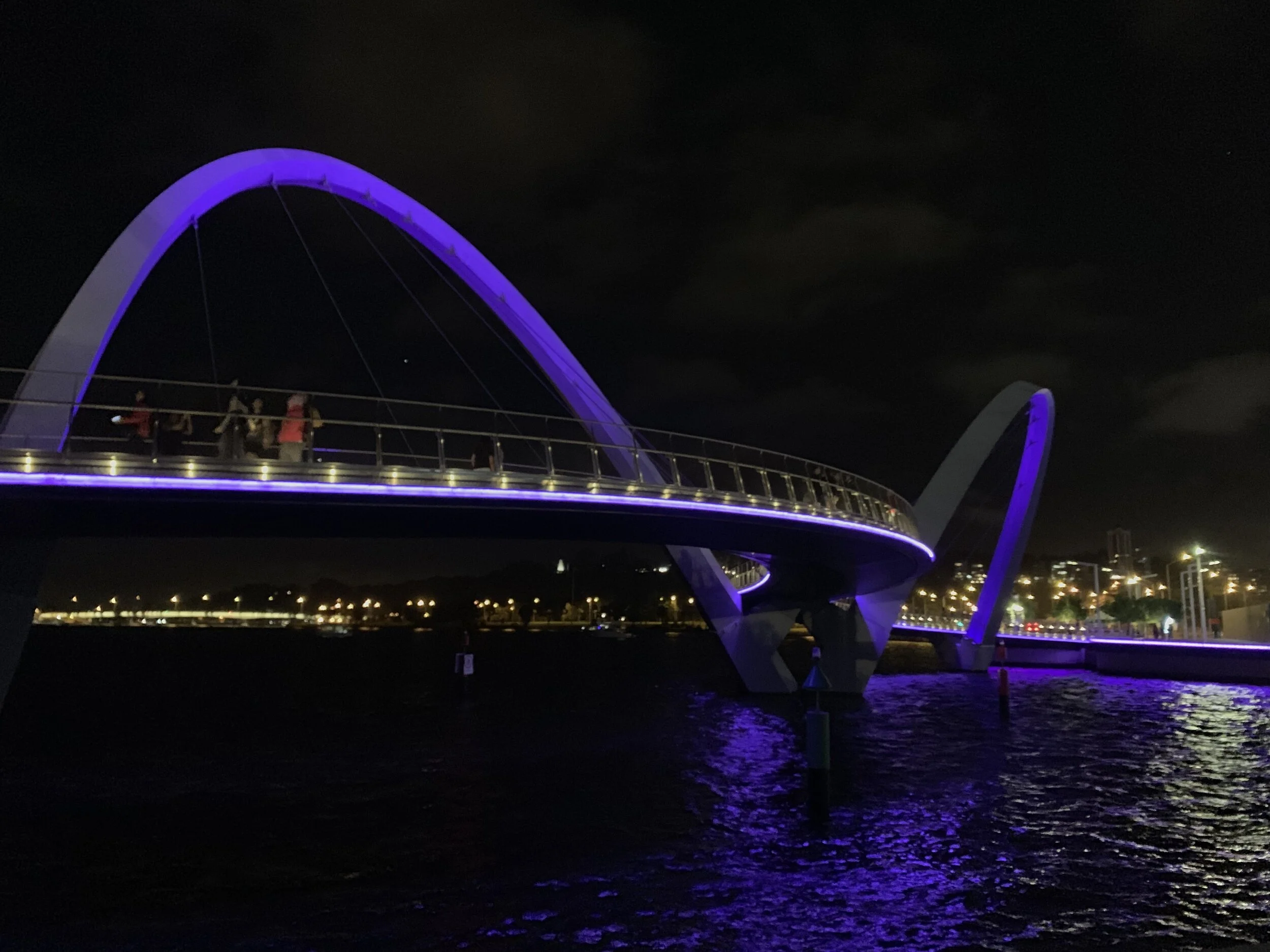 Light it up Purple 2020