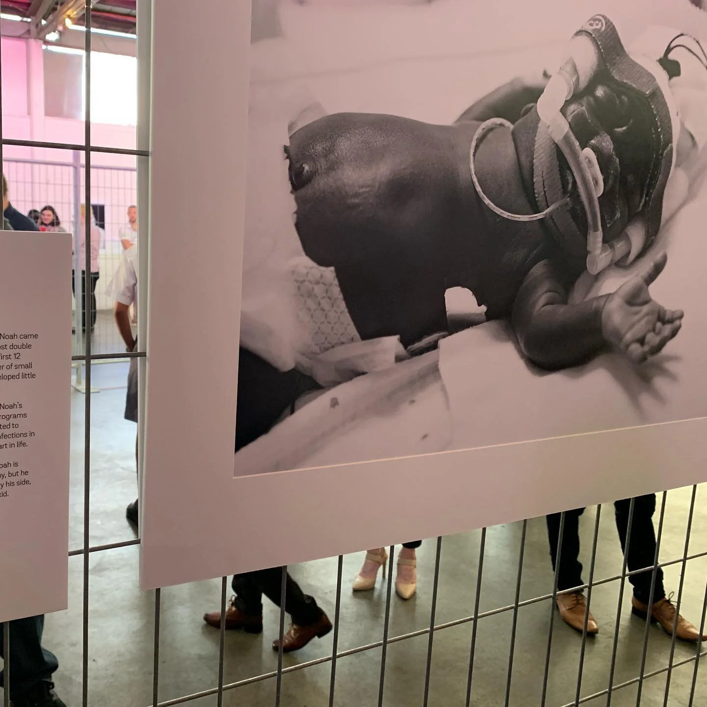 This year Telethon Kids Institute celebrate their 30th year of research into childhood illness and disease.  Their celebratory exhibition was a magnificent way to showcase community participation and honour the collaborative efforts of researchers and consumers.