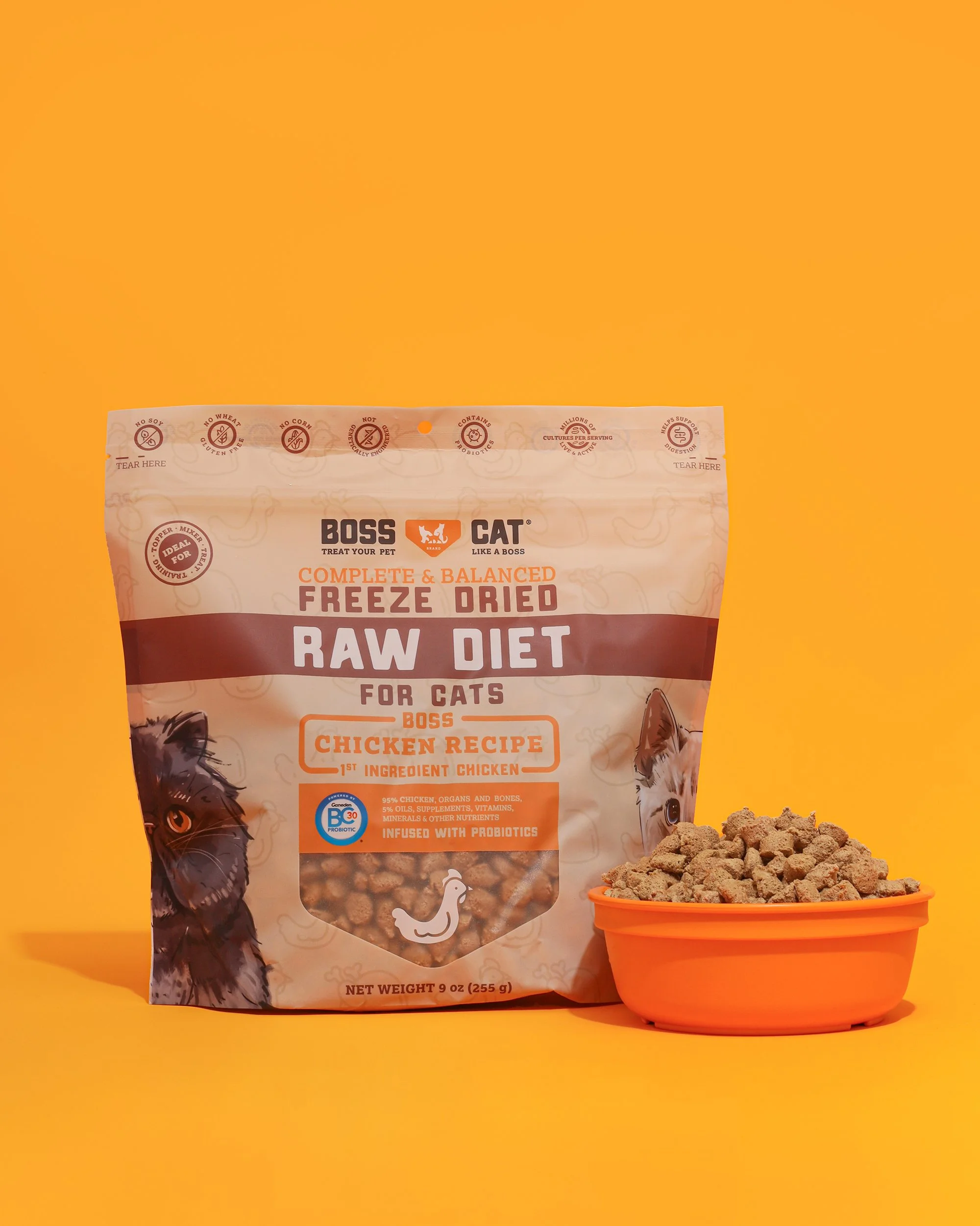 DryCat-Still-02.jpg