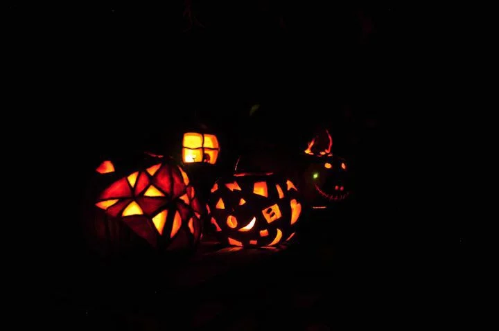 Pumpkin on display