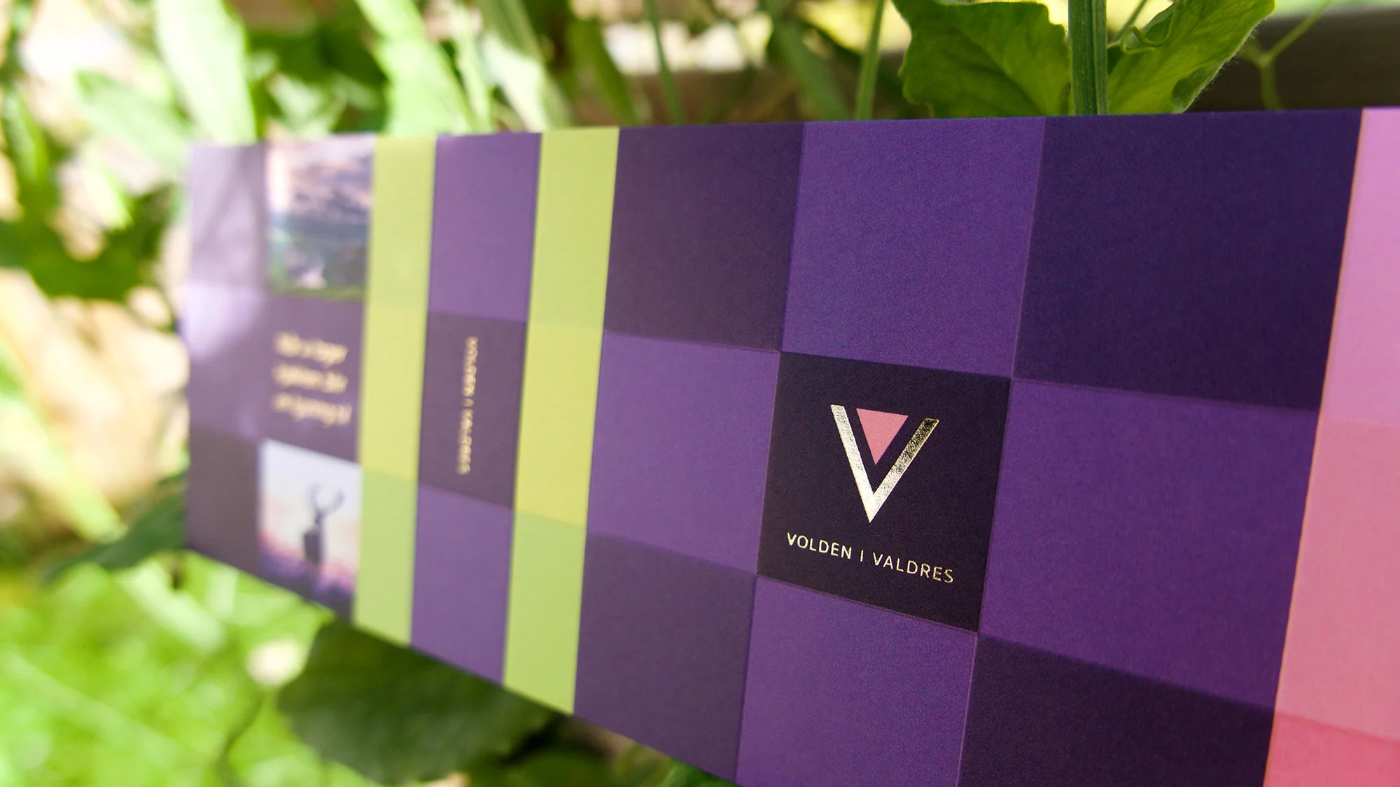 morilddesign_voldenivarldres_identitet9.jpg