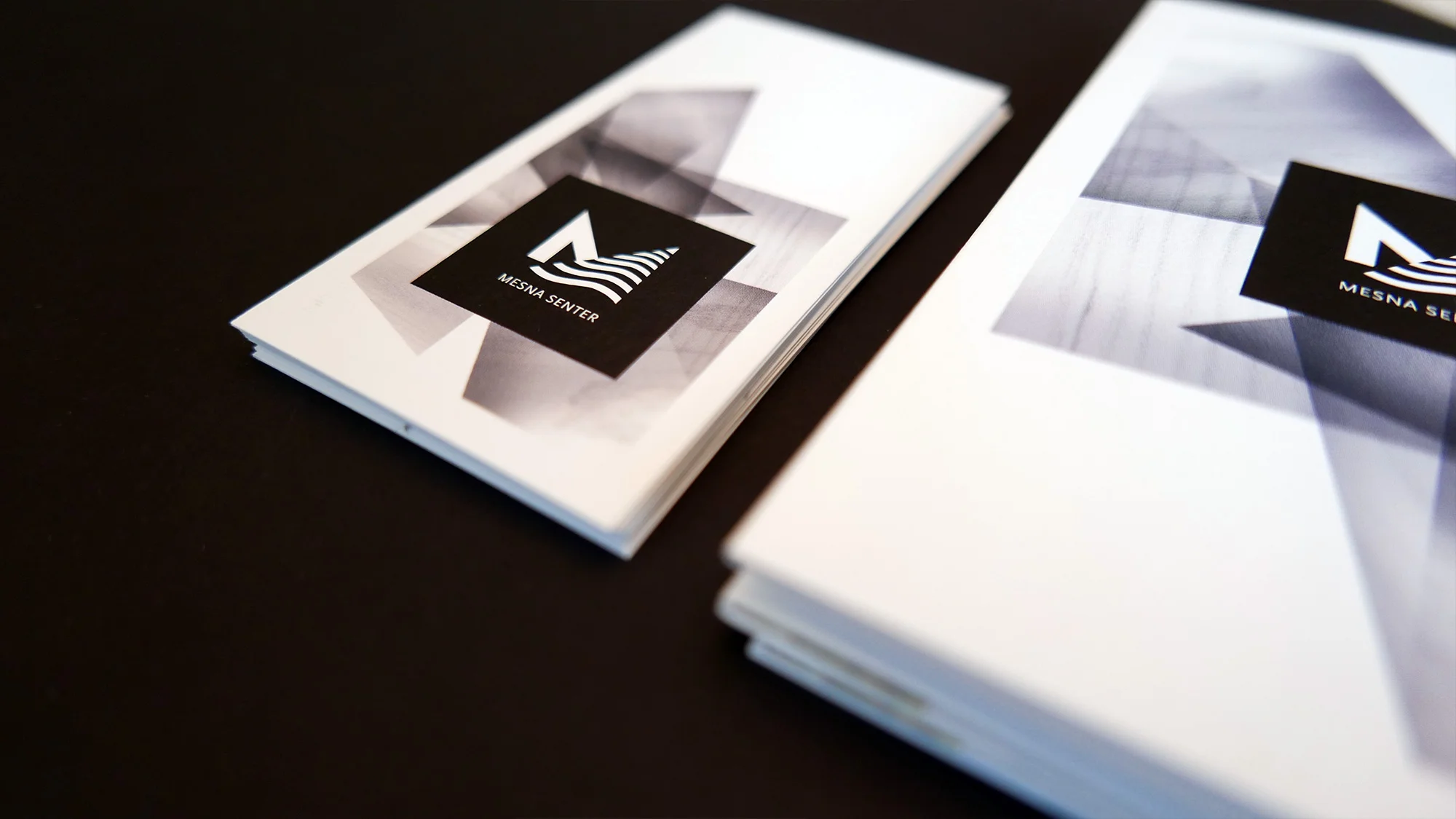 grafiskdesign_lillehammer_mesnasenter_folder8.jpg