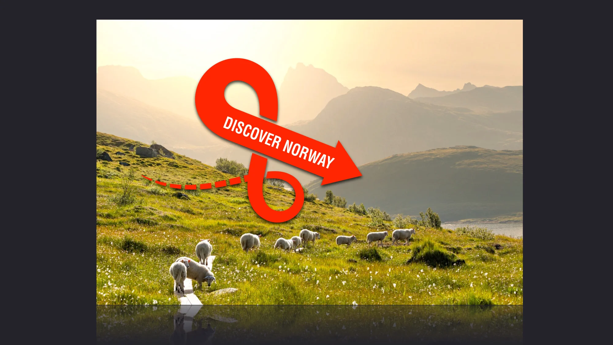 Discover_Norway6.jpg
