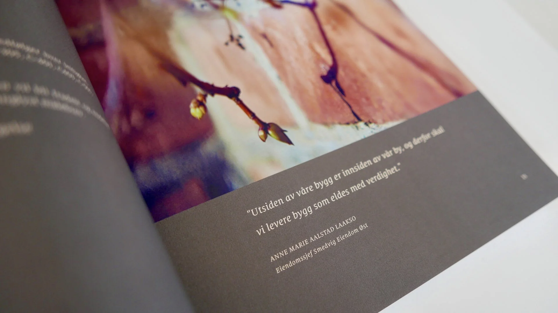 IP2018_DESIGN I TRYKTE MEDIER_MORILD-prospekt.014.jpeg