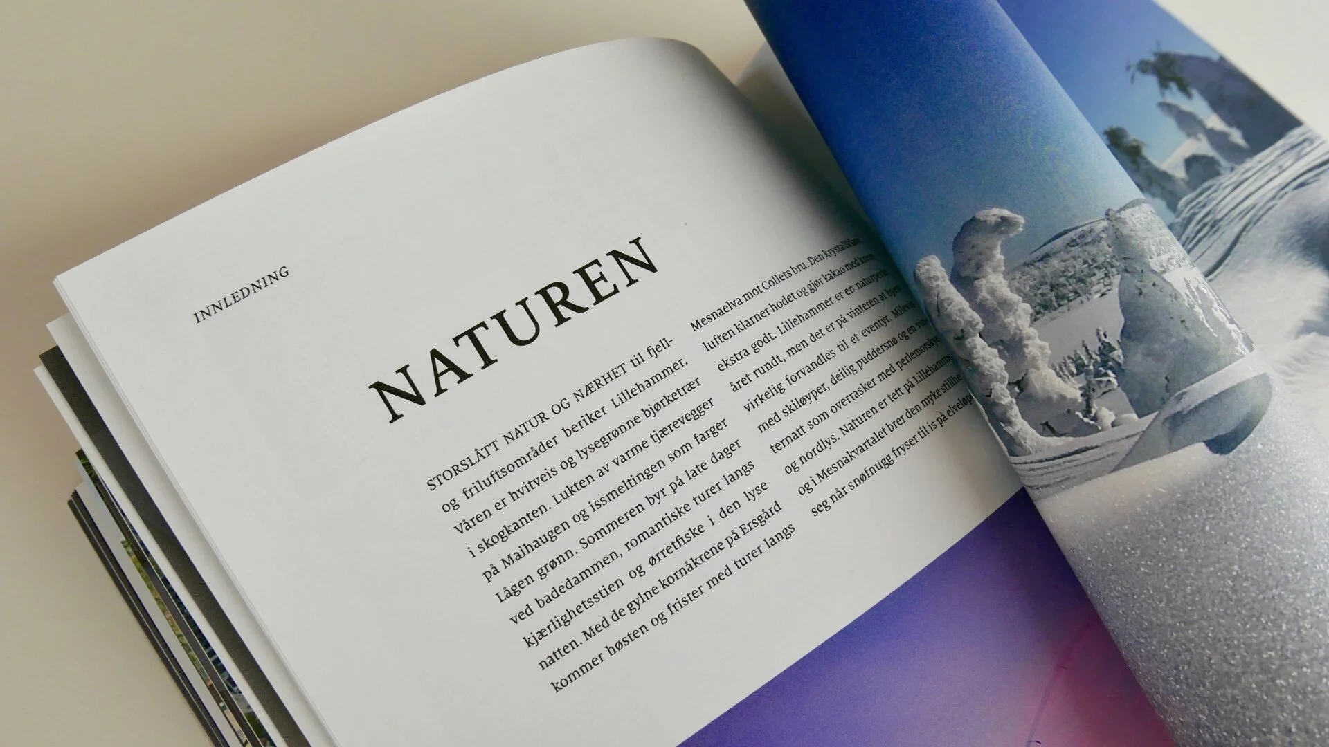 IP2018_DESIGN I TRYKTE MEDIER_MORILD-prospekt.023.jpeg