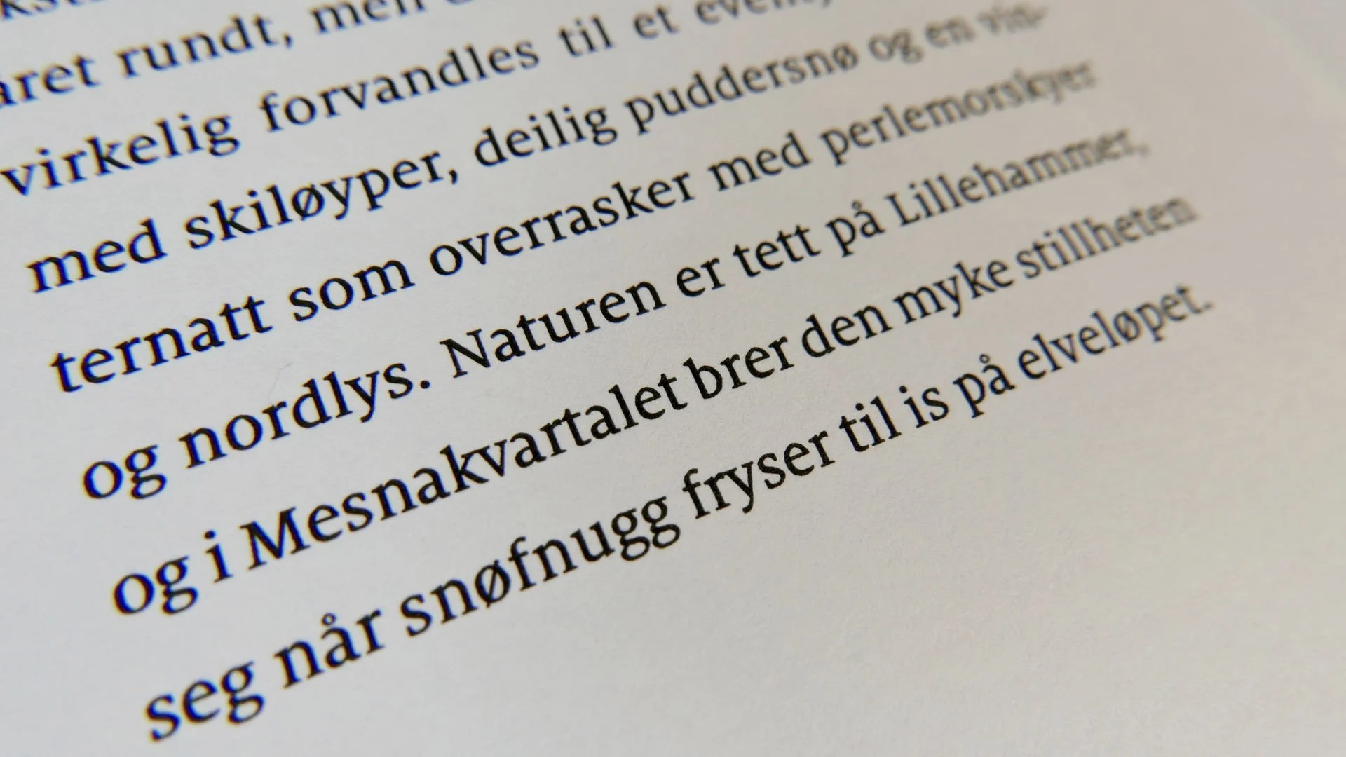 IP2018_DESIGN I TRYKTE MEDIER_MORILD-prospekt.024.jpeg