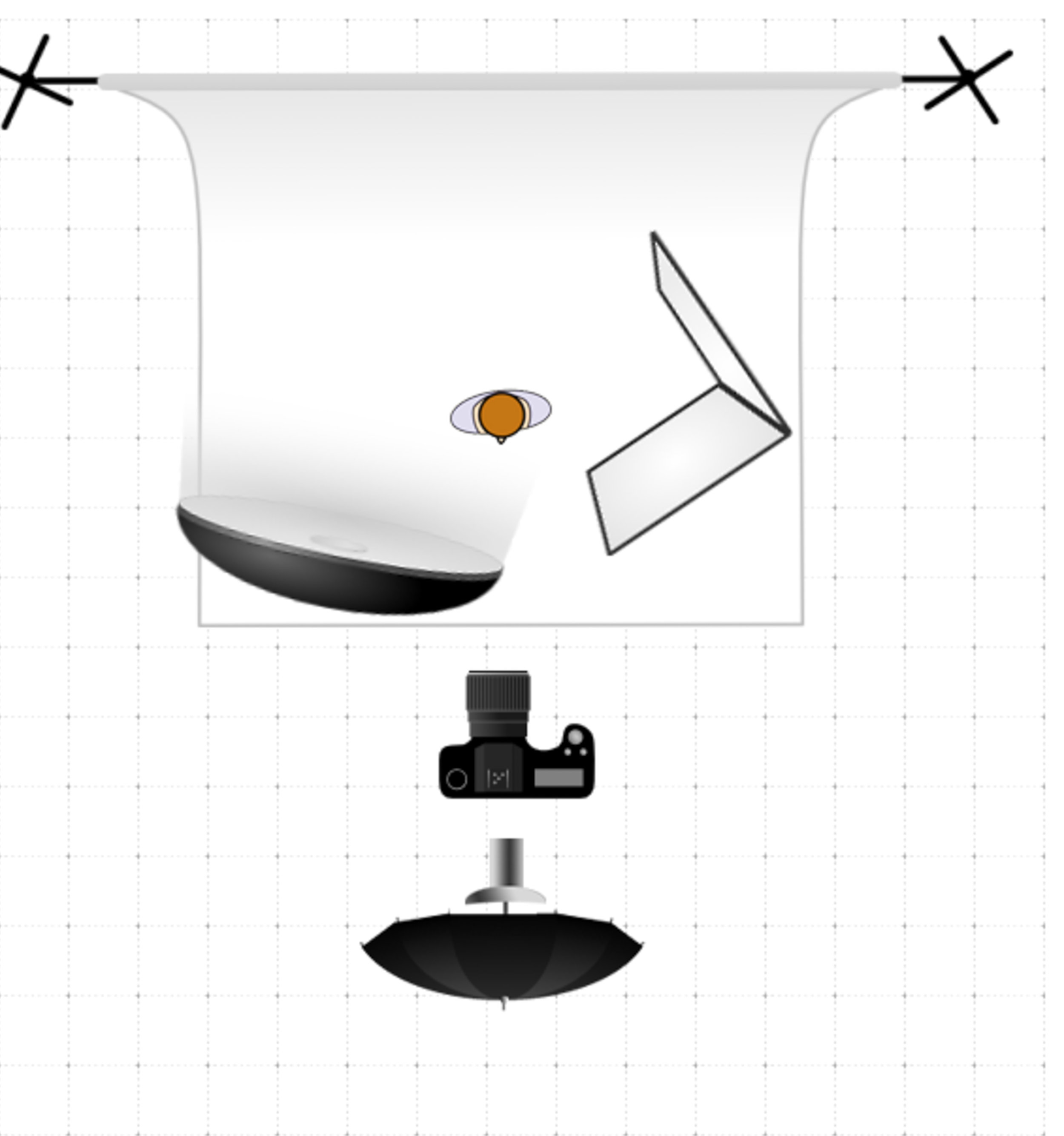 lighting-diagram-1541367178.jpg