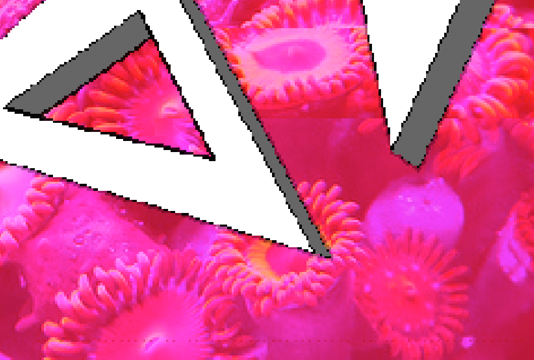 Screen Shot 2014-04-18 at 7.22.06 pm.png