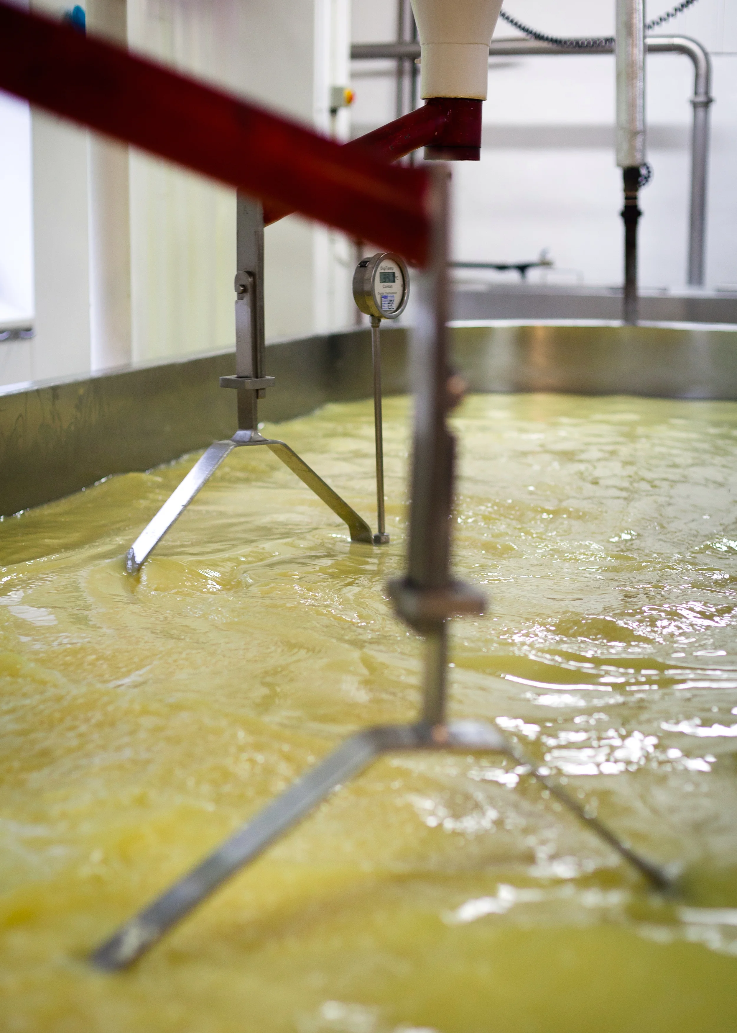 Westcombe_Dairy_0471_034.jpg