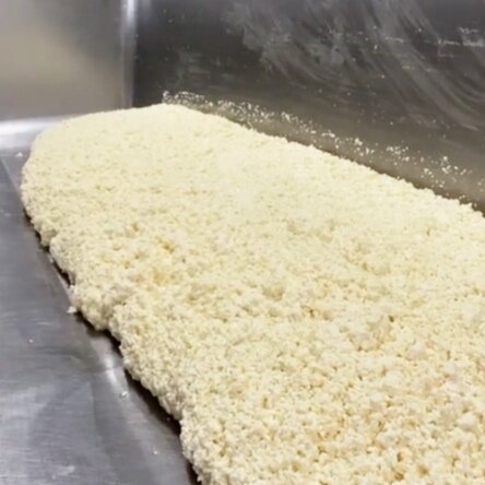 The free-drained curds