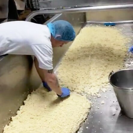 Jason milling the Harding curds