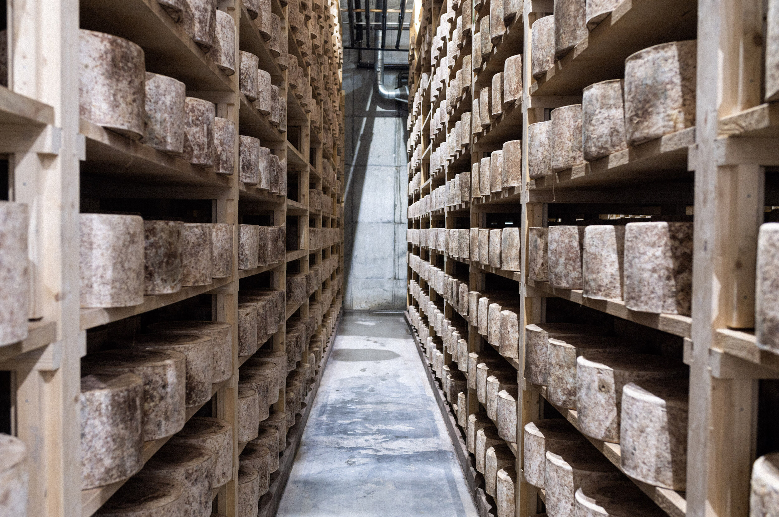 The Bulk Cheese Warehouse - The Cheese Case is nice and full