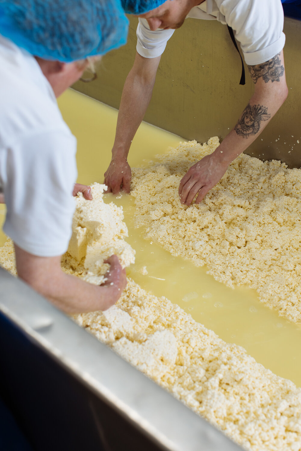 Gathering the Candy curds