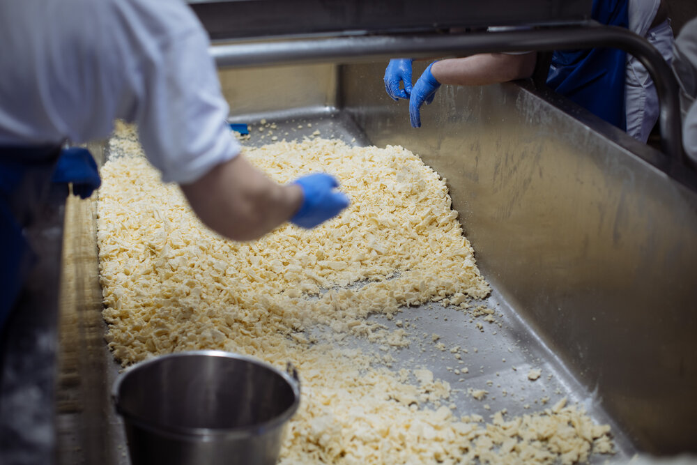 Salting the milled curd blocks