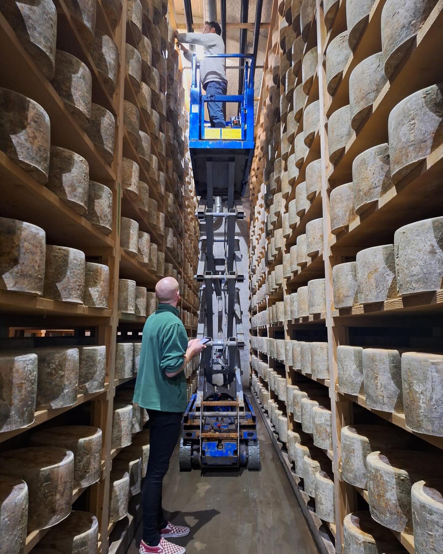 Lovely to see Simon from @thecourtyarddairy today. Here we are doing a little grading 🧀