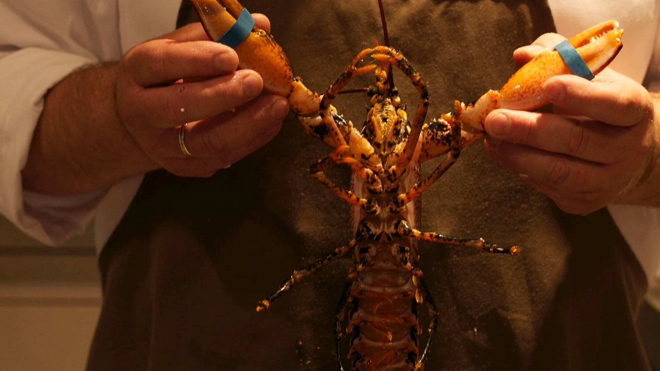 PR_Lobster.jpg