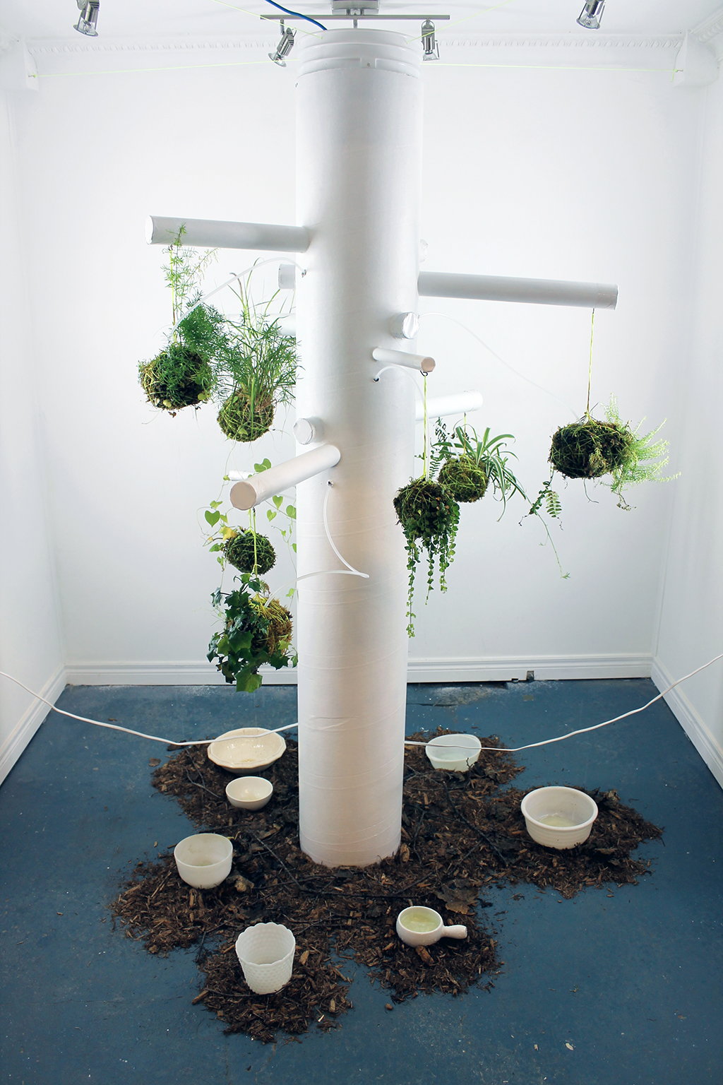 Kokedama 2 (2).jpg