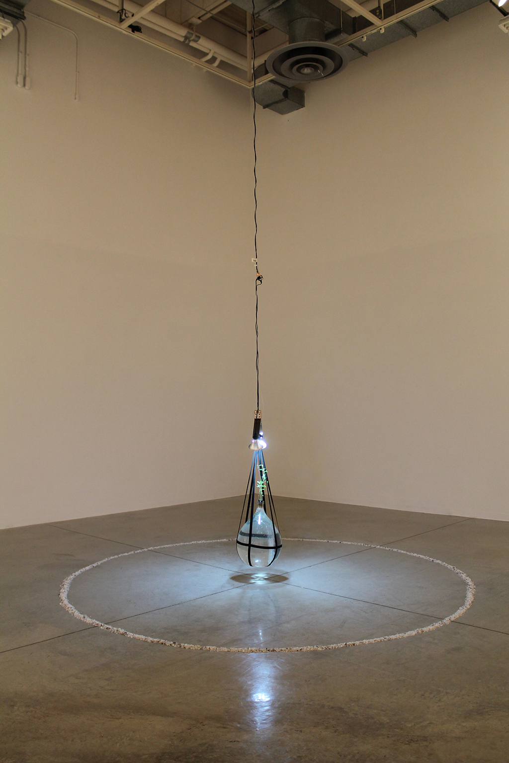 Pendulum 1(2).jpg