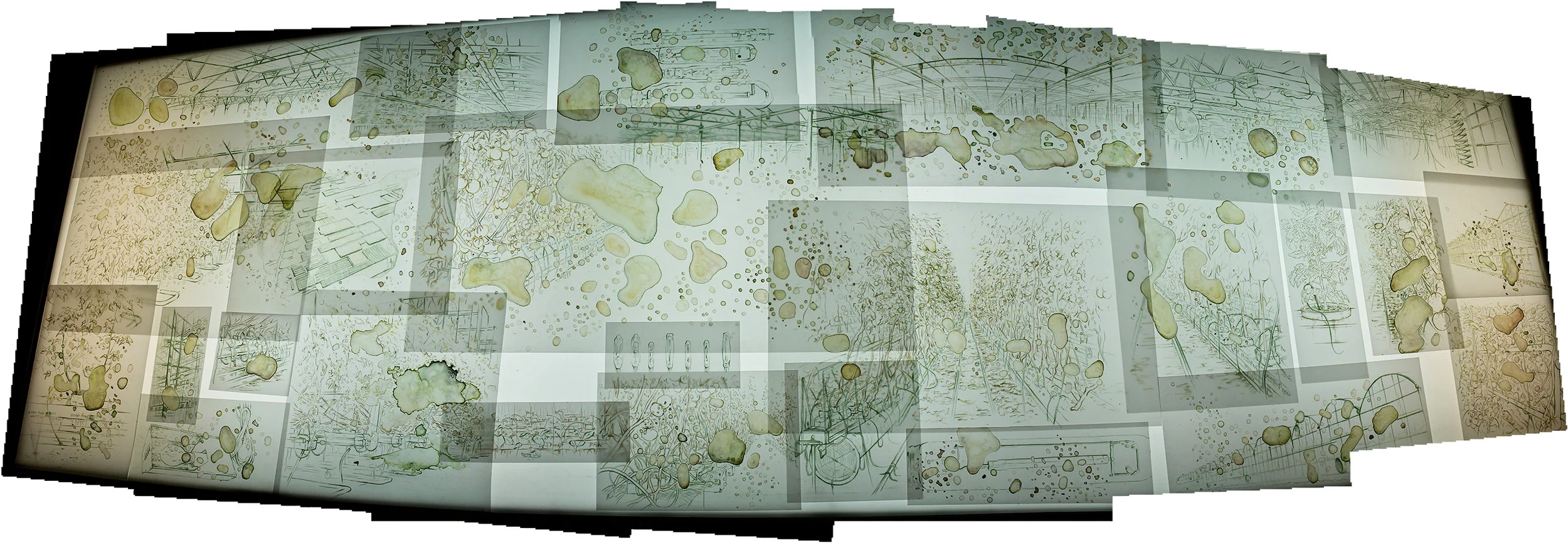 Amalgamated image of drawings from light table