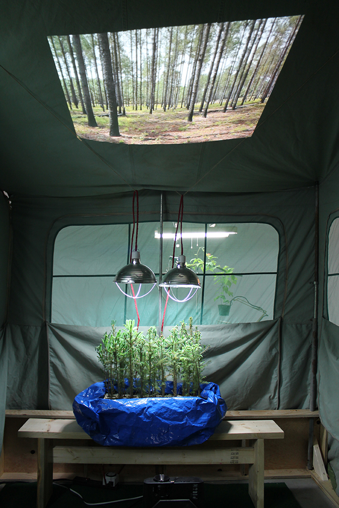 Tent Trailer Tree Theatre
