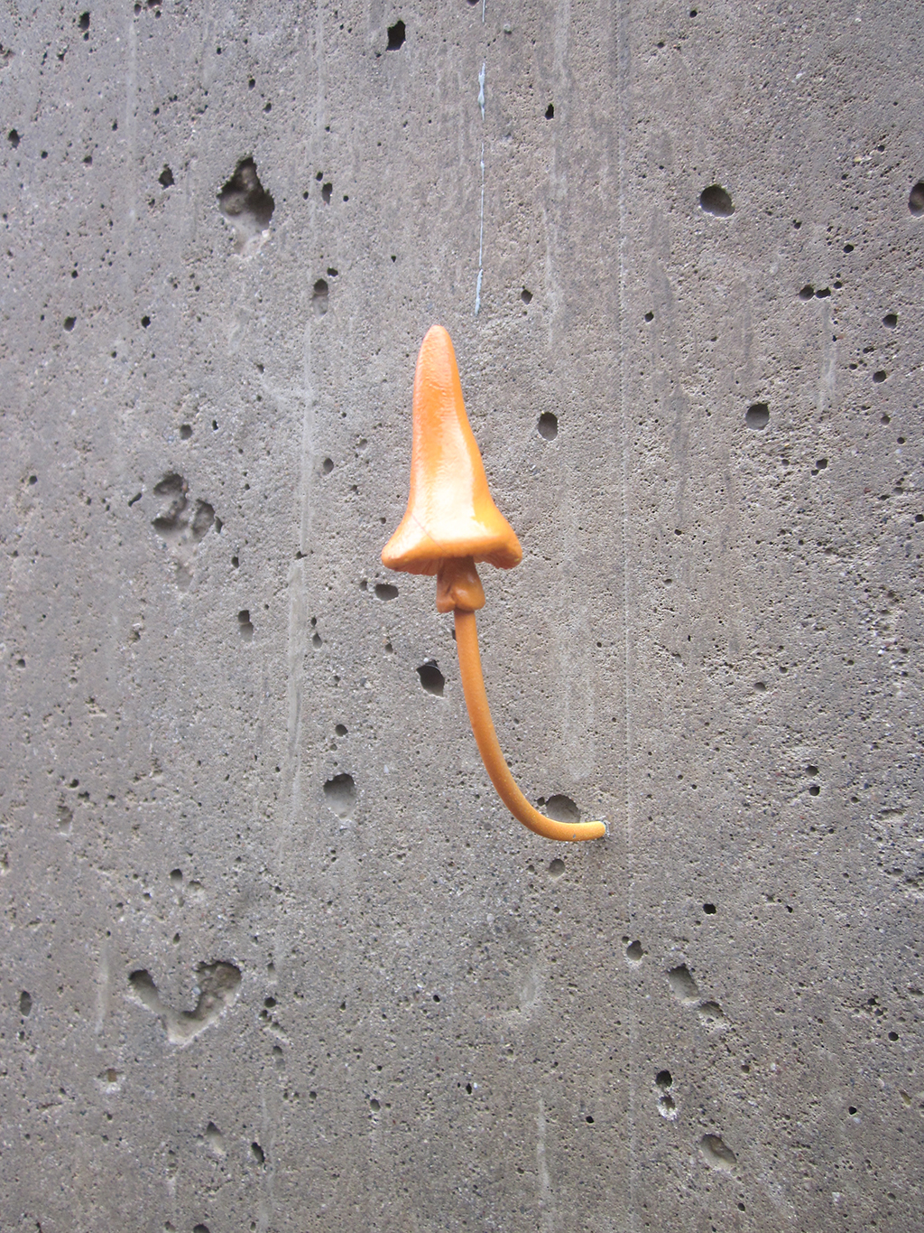 Urban Mushroom Installations