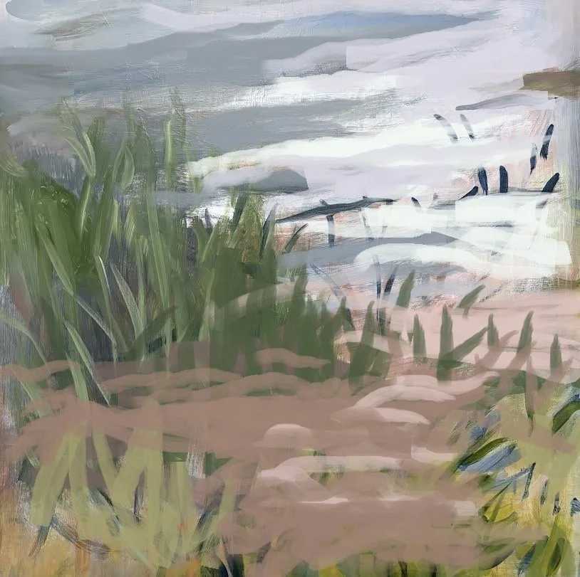 new seagrass.jpg