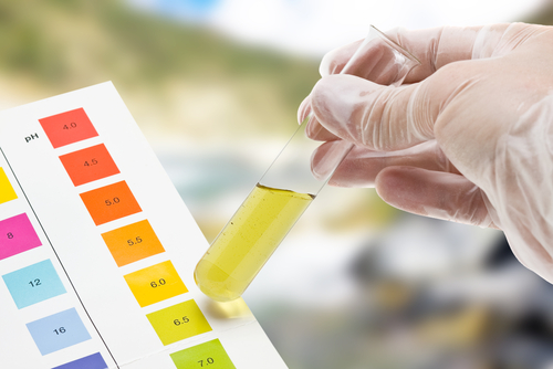 There is no best pH to be! Depending upon your health and health goals the pH of different 