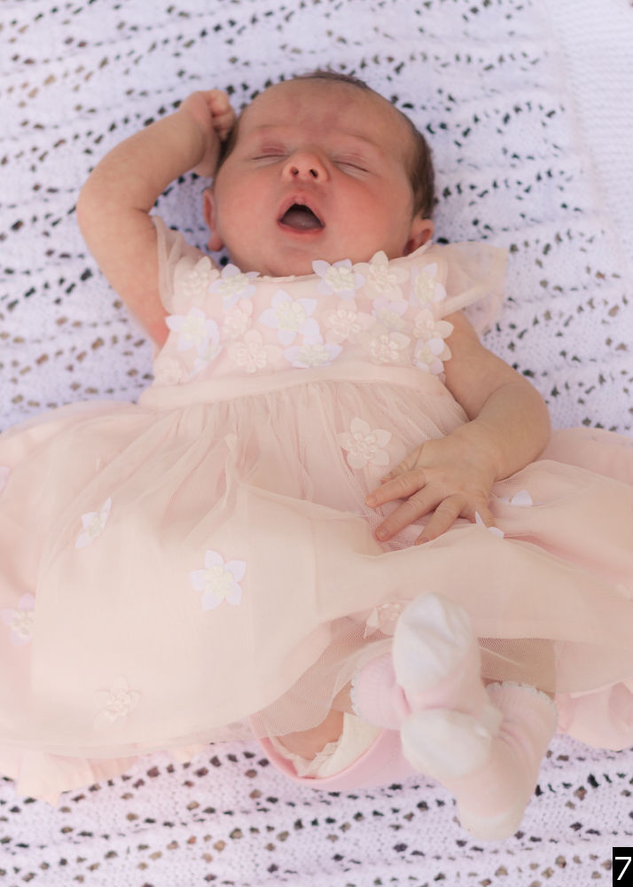 rc_20180506_Evie_0018.jpg