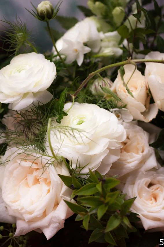 Sandra selects numbered-5.jpg