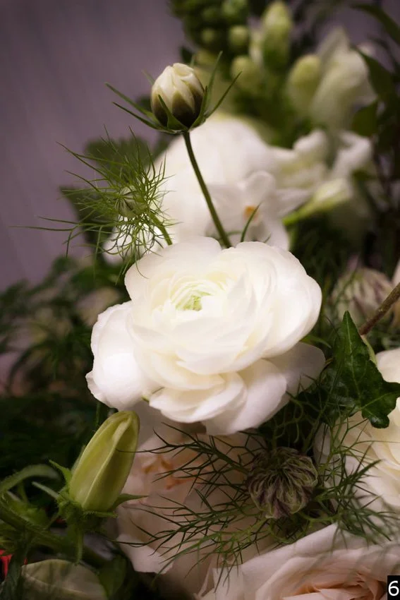 Sandra selects numbered-6.jpg