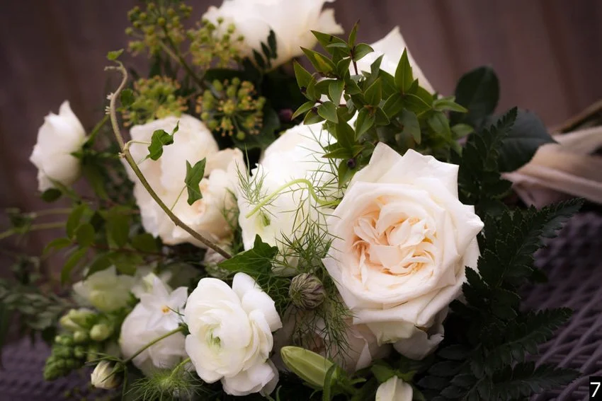 Sandra selects numbered-7.jpg