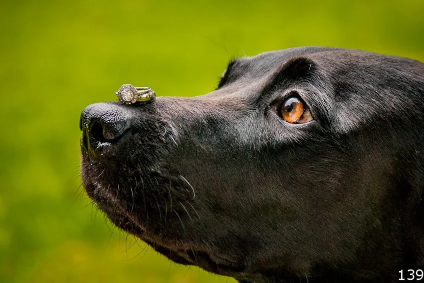 Sandra selects numbered-139.jpg