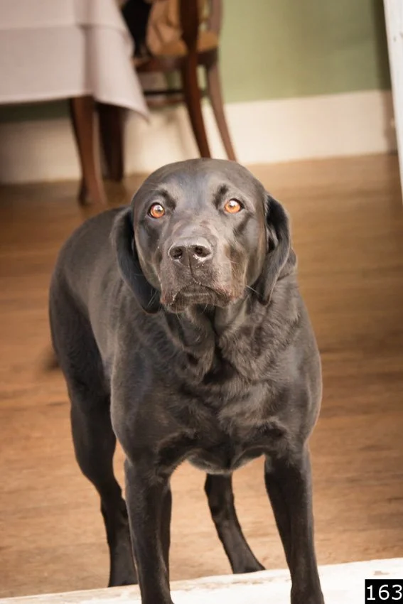 Sandra selects numbered-163.jpg