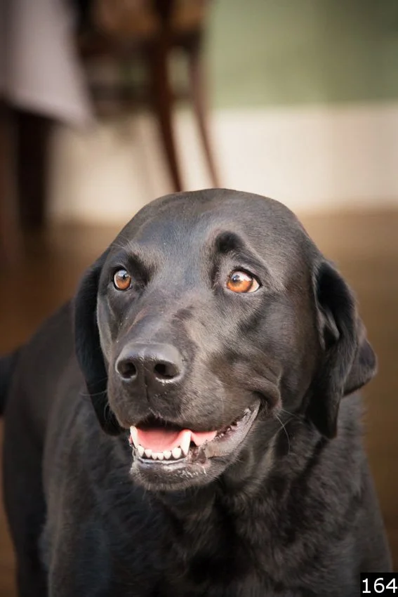 Sandra selects numbered-164.jpg