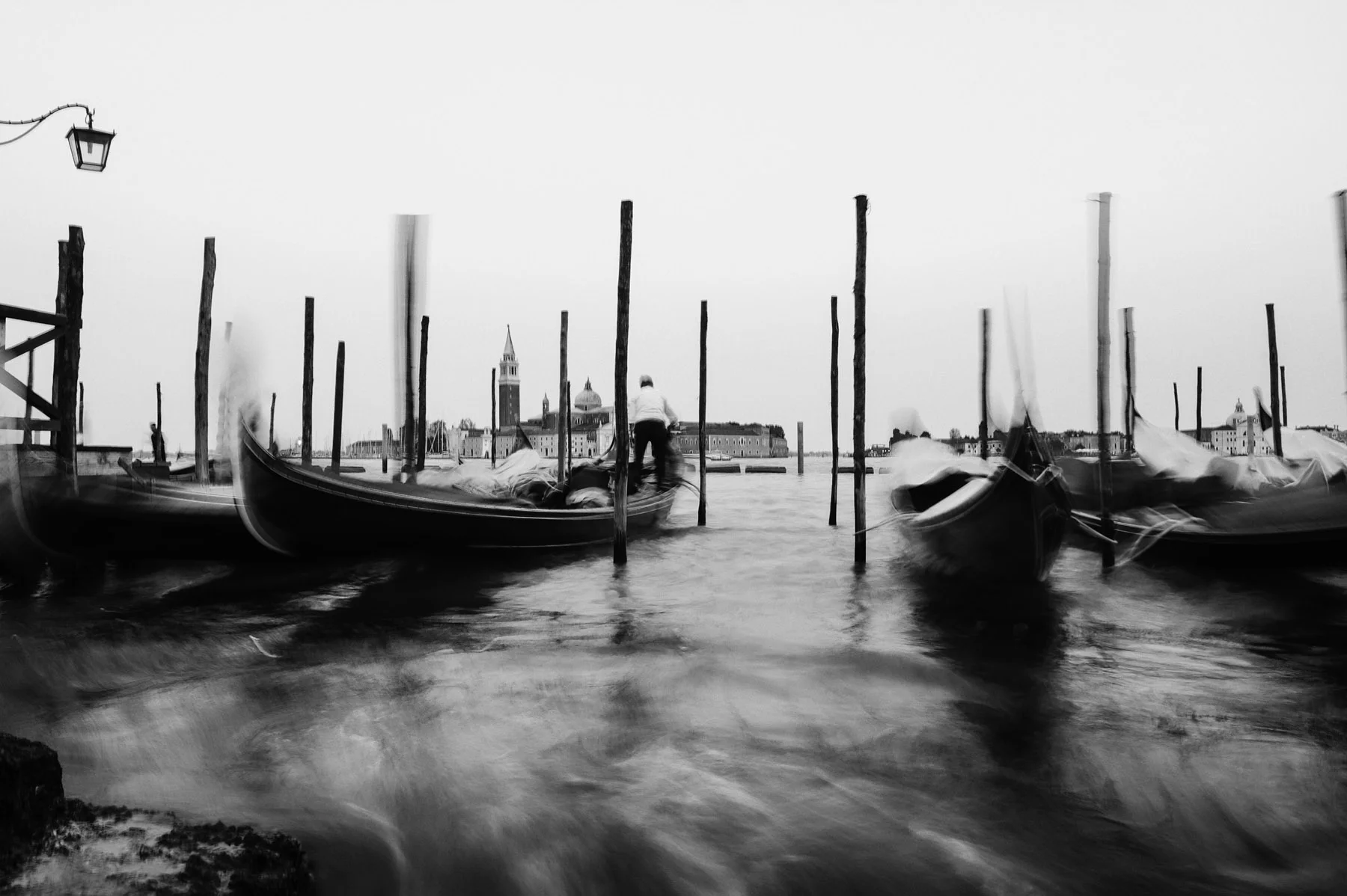 DSC_4704 copy.jpg