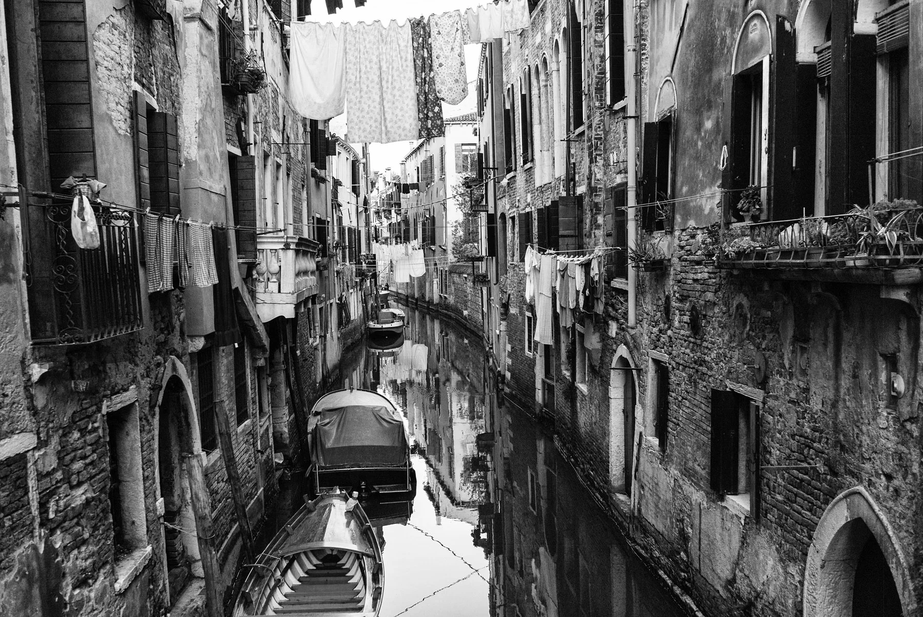 L1000081 copy.jpg