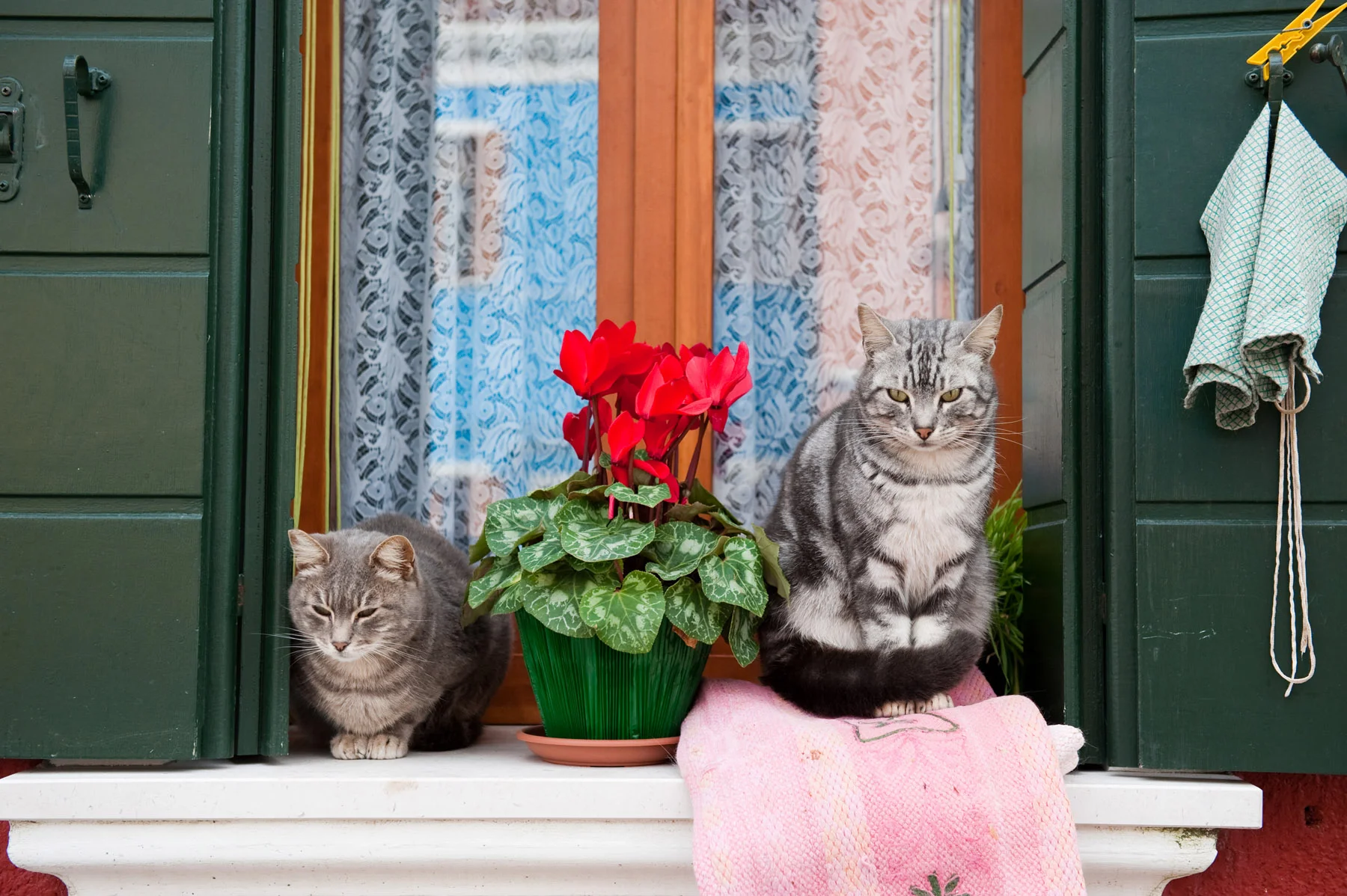 Burano 09.jpg
