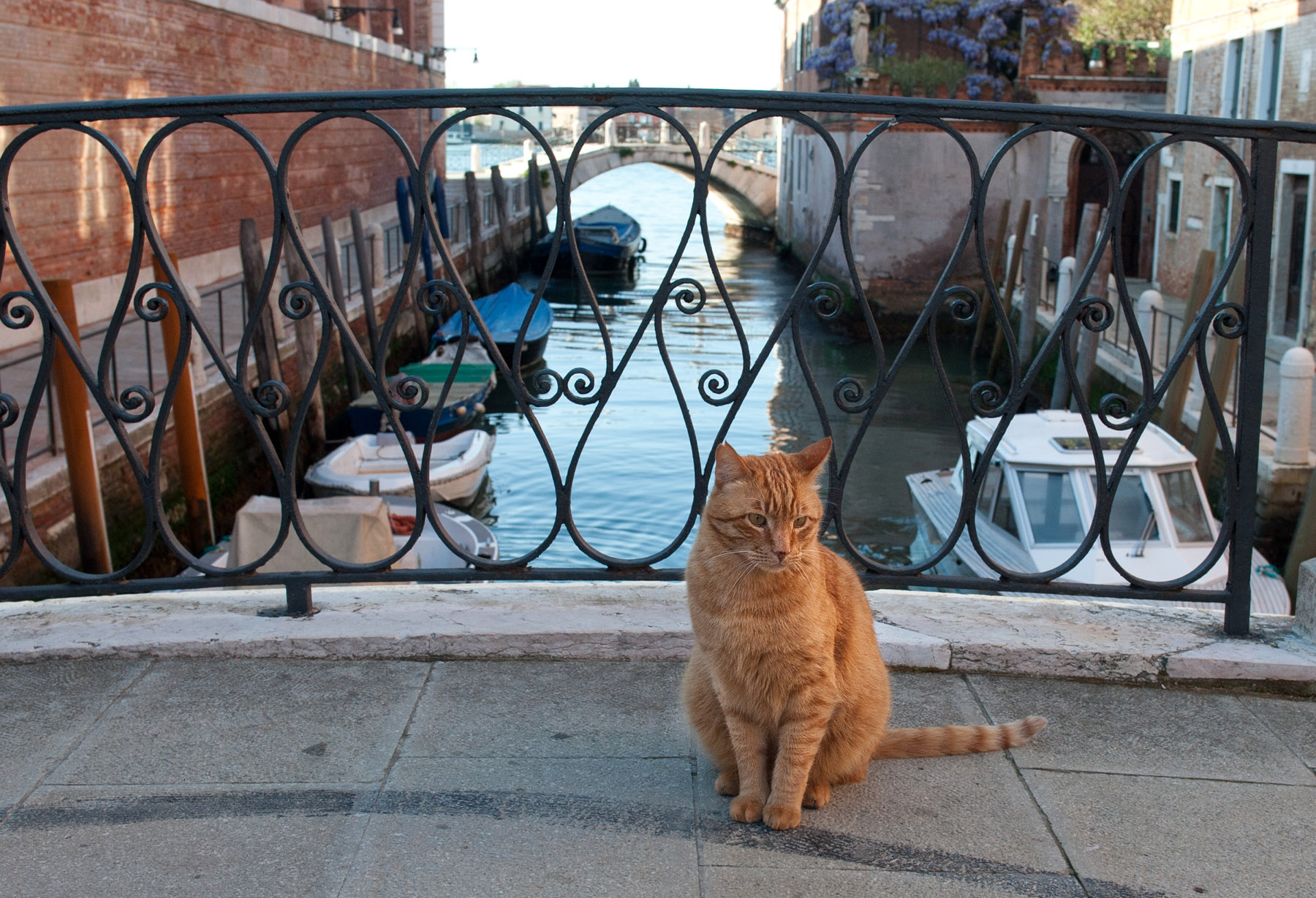 DSC_4210.jpg