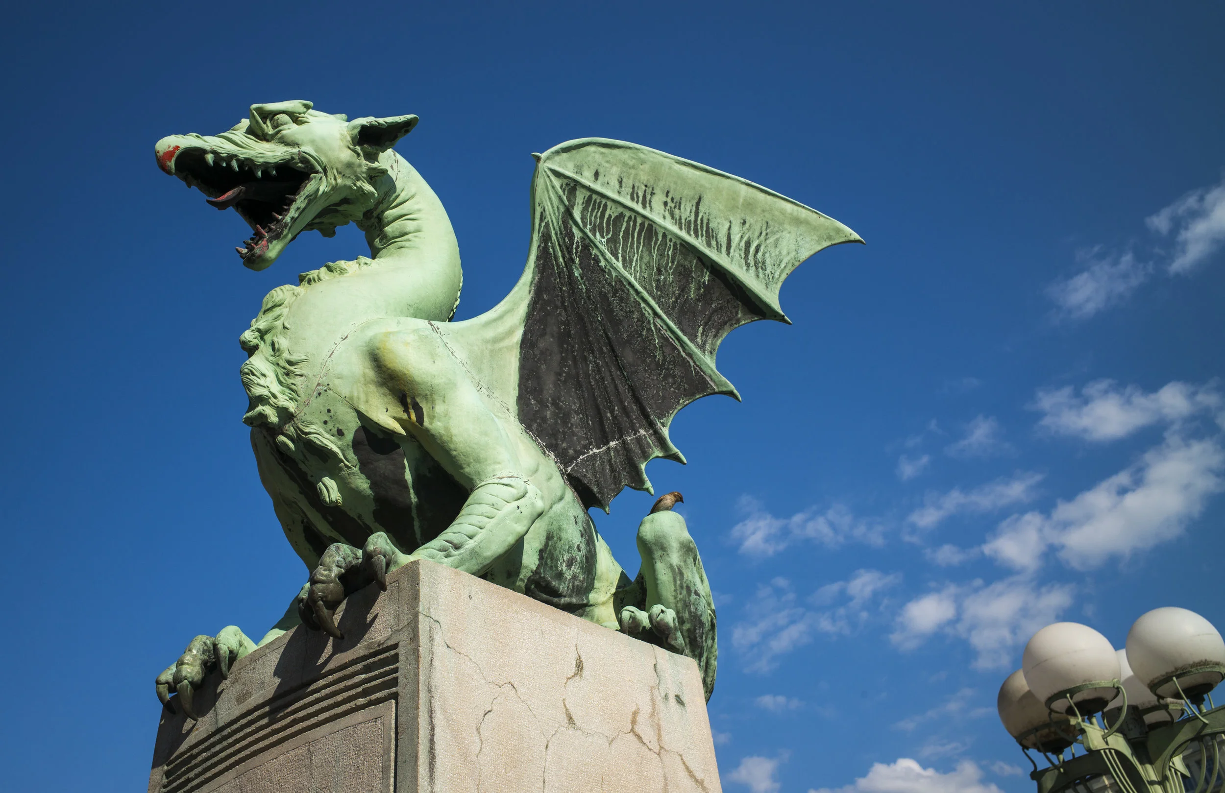 Ljubljana Dragon Gridge