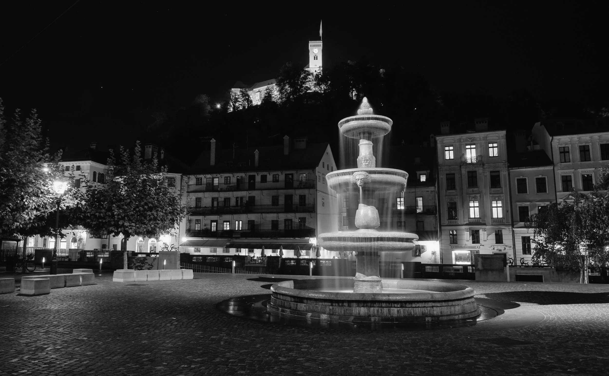Ljubljana Black and White