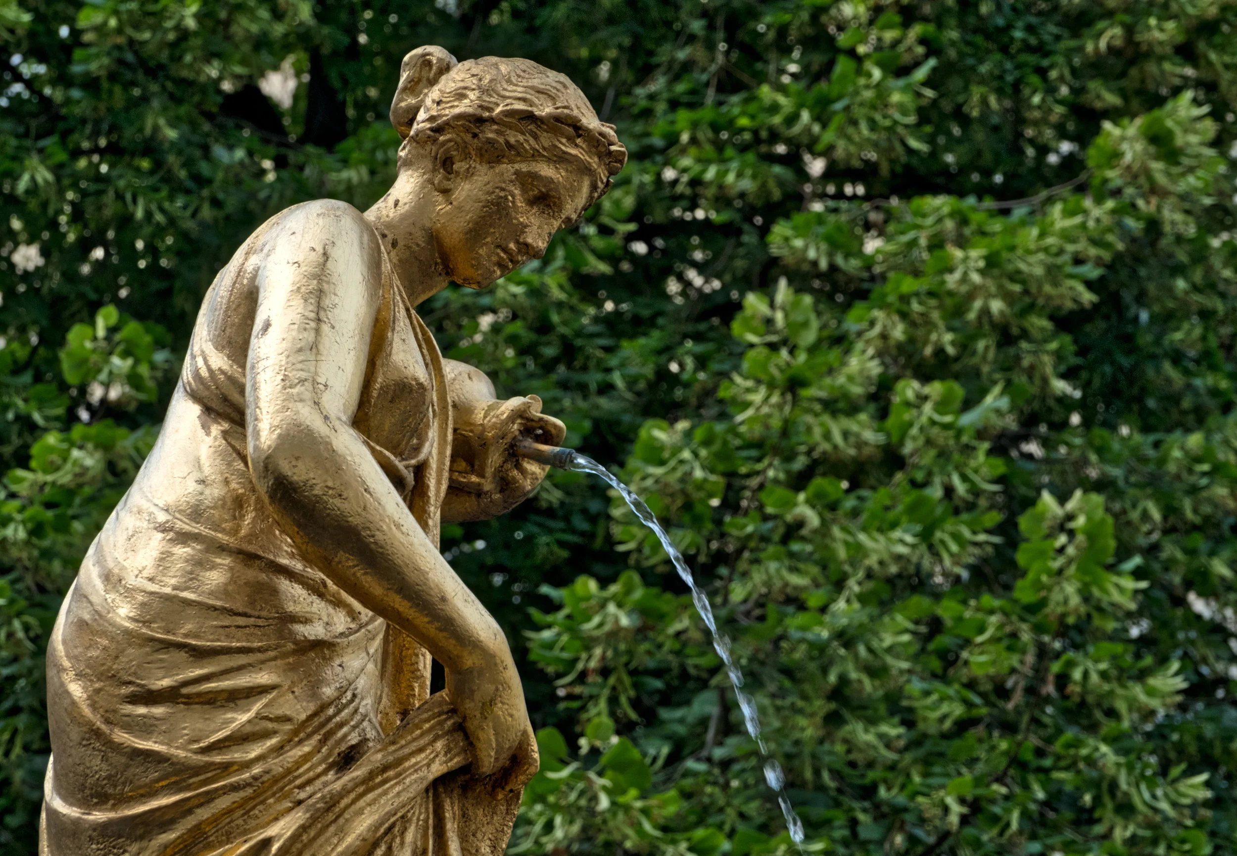 DSCF5136.jpg