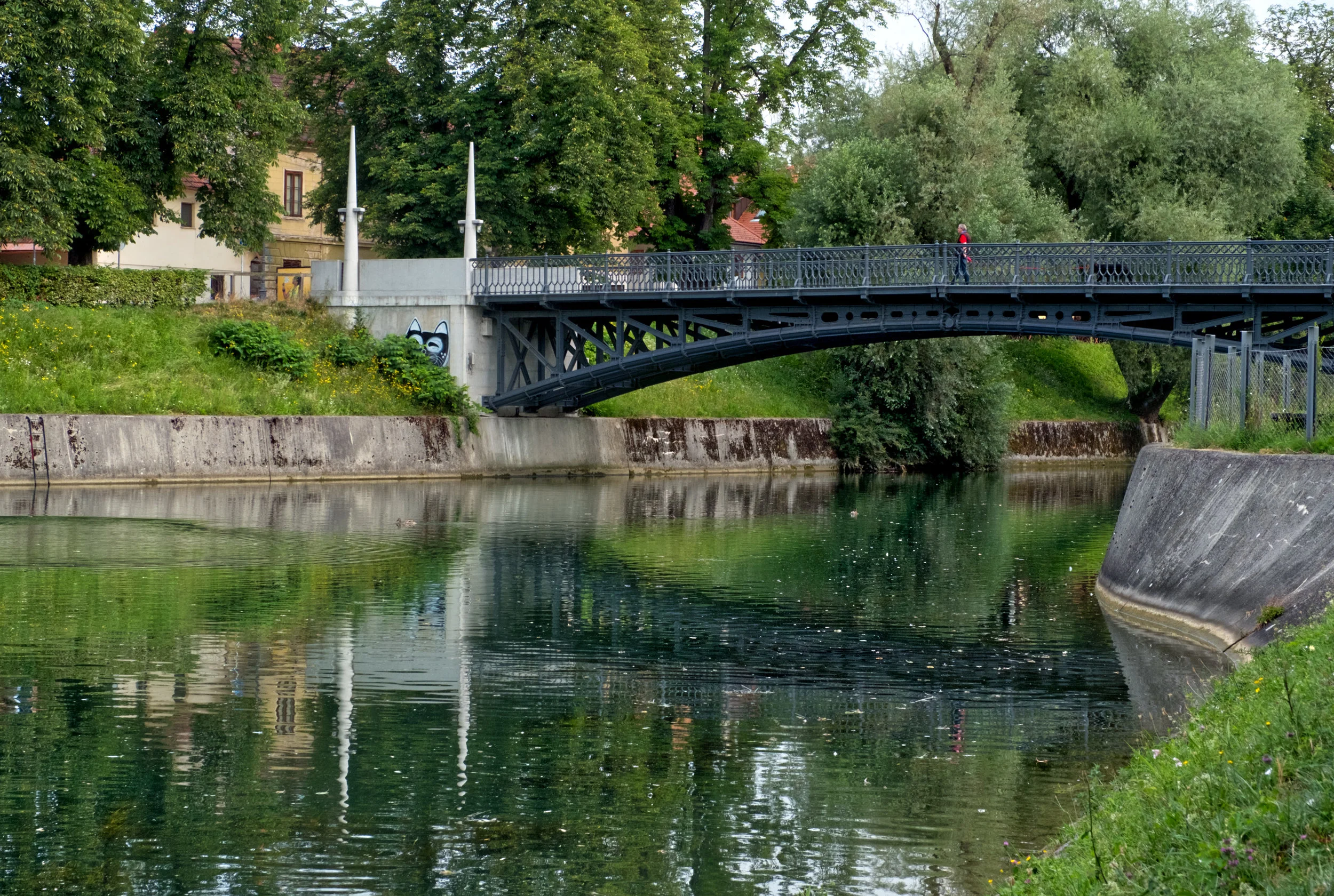 DSCF5108.jpg