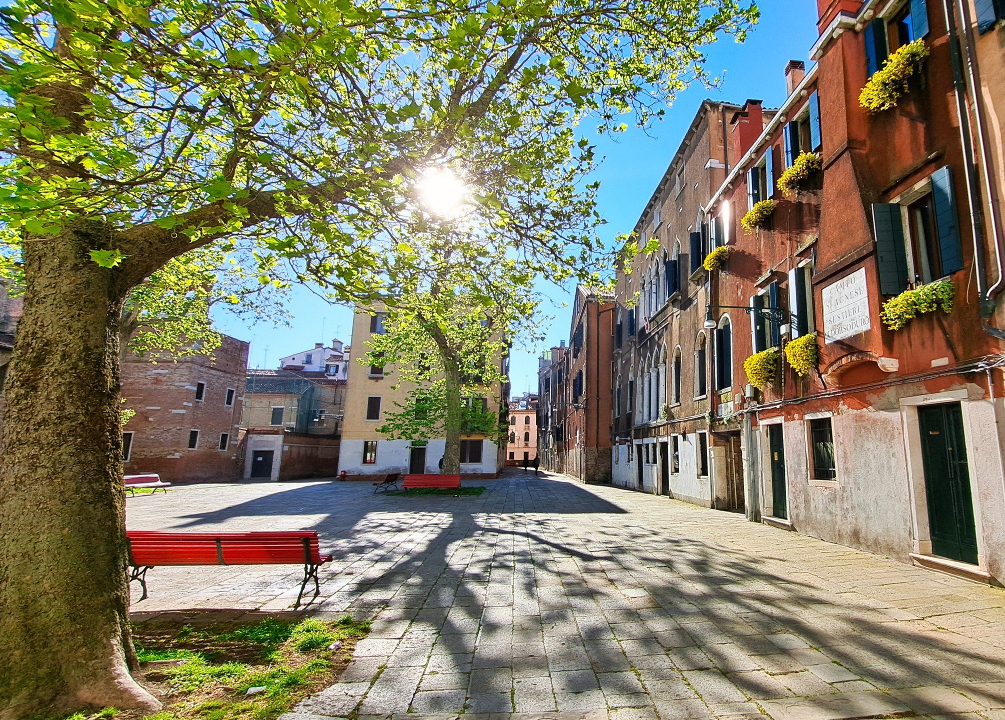This tranquil scene captured in the Dorsoduro area of Venice exudes the timeless charm of La Serenissima. The warm sunlight filters through the lush green leaves, casting a lacework of shadows on the cobblestone piazza. A row of vermilion buildings, 