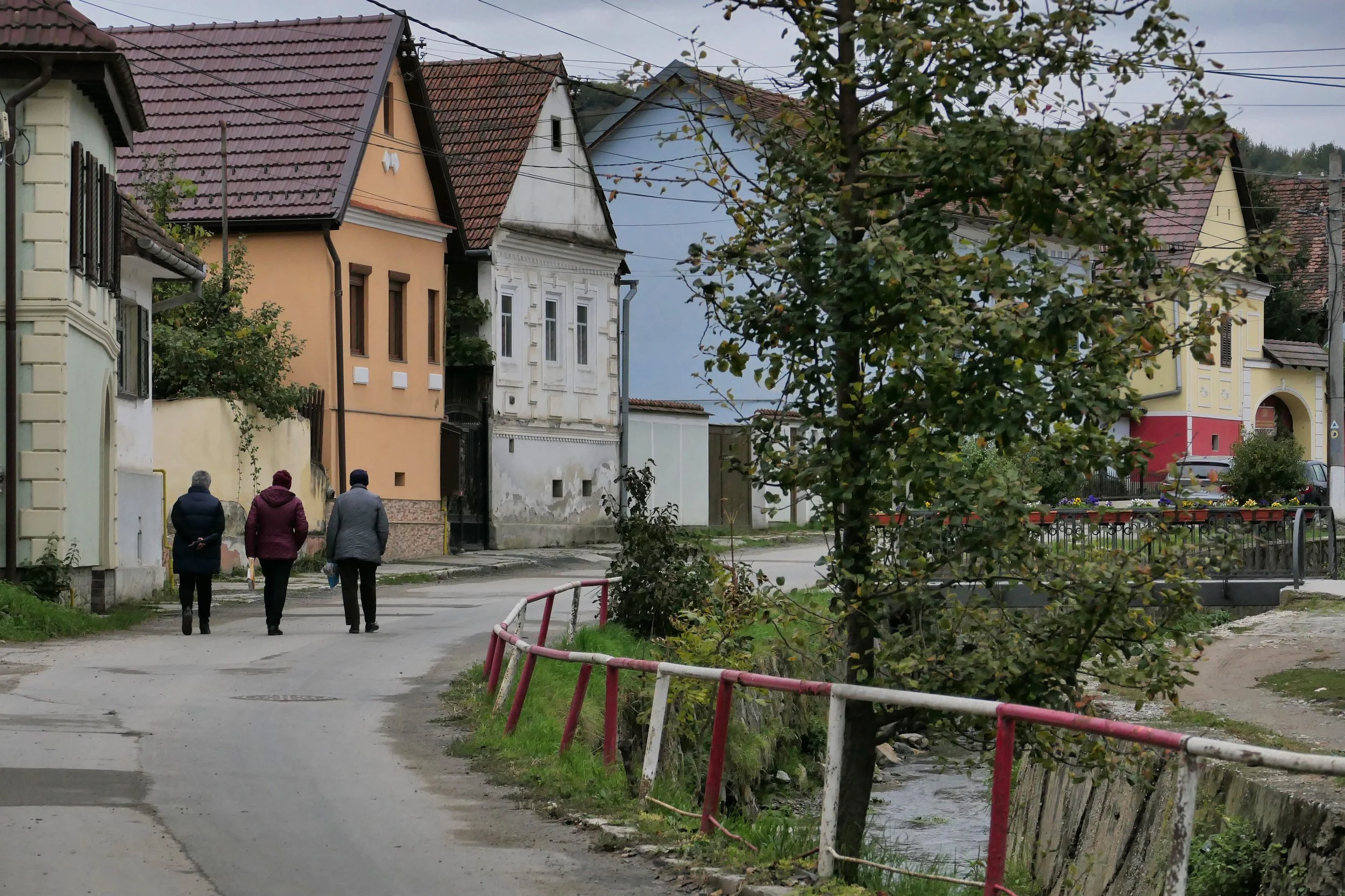 L1014364 copy.jpg