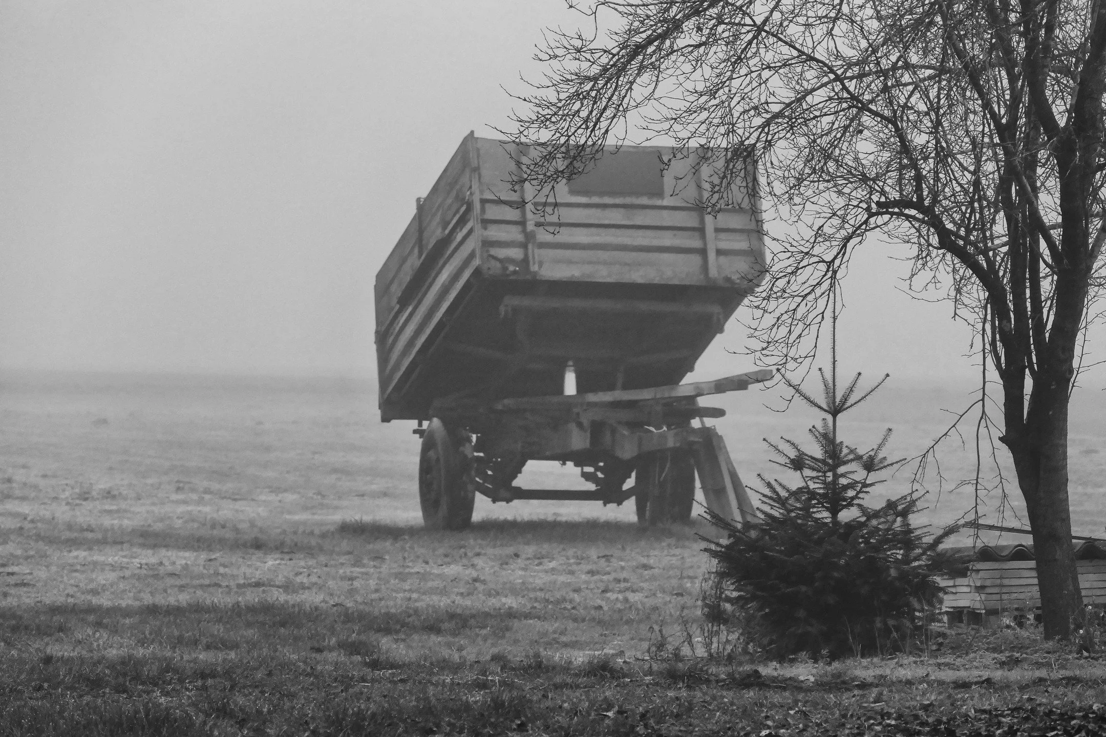 Nothing moves out here in winter, not even time. 

Leica loves this weather.